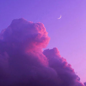 Meet your Posher, Laney